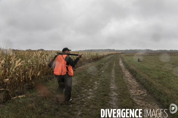 Chasse communale en foret de Rambouillet
