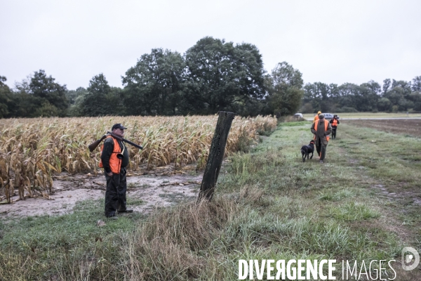 Chasse communale en foret de Rambouillet