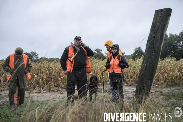 Chasse communale en foret de Rambouillet