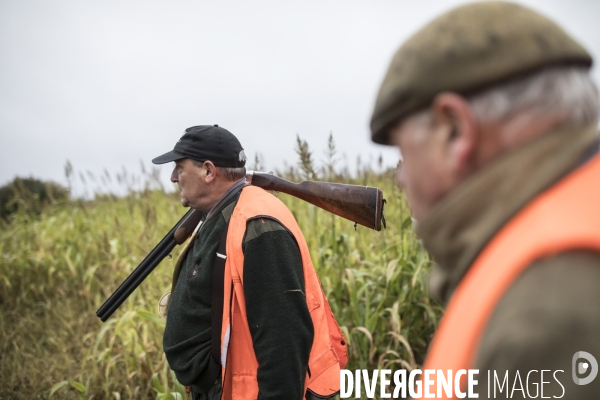 Chasse communale en foret de Rambouillet