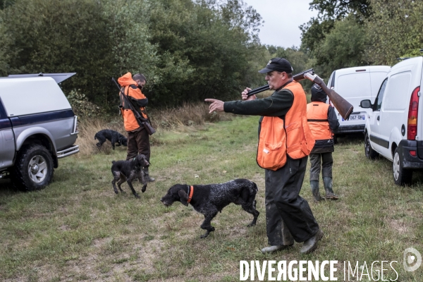 Chasse communale en foret de Rambouillet