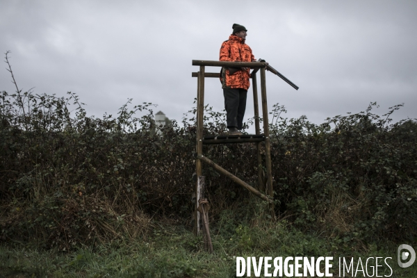 Chasse communale en foret de Rambouillet