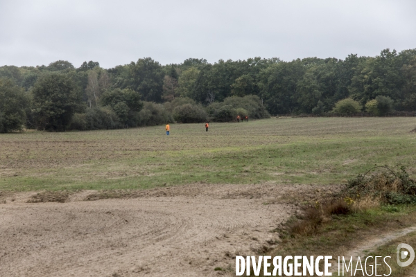 Chasse communale en foret de Rambouillet