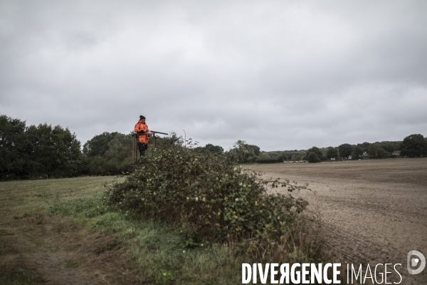 Chasse communale en foret de Rambouillet