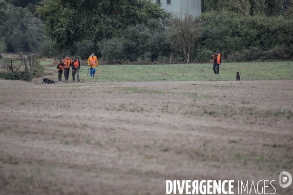 Chasse communale en foret de Rambouillet