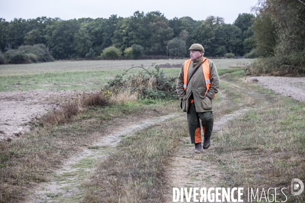 Chasse communale en foret de Rambouillet