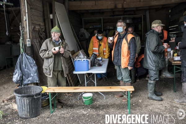 Chasse communale en foret de Rambouillet