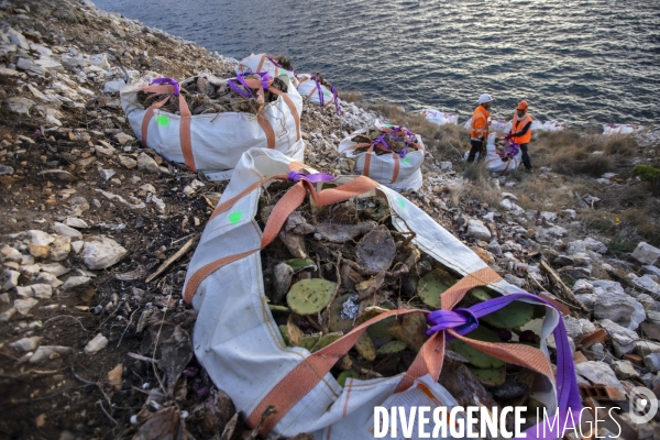 Héliportage. Actions sur les plantes exotiques envahissantes à l île de Frioul