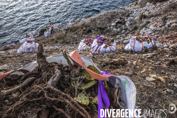 Héliportage. Actions sur les plantes exotiques envahissantes à l île de Frioul