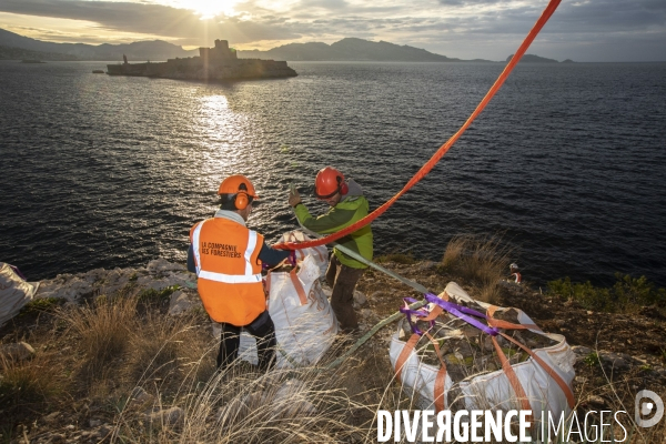 Héliportage. Actions sur les plantes exotiques envahissantes à l île de Frioul