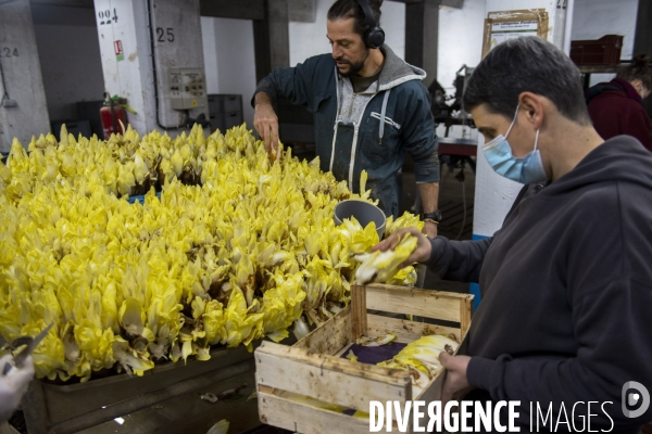 La Caverne, ferme d agriculture urbaine et souterraine