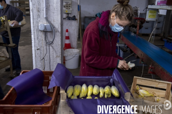 La Caverne, ferme d agriculture urbaine et souterraine