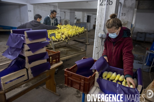 La Caverne, ferme d agriculture urbaine et souterraine