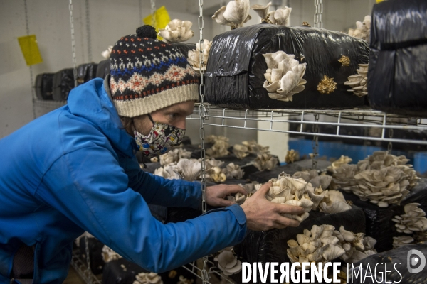 La Caverne, ferme d agriculture urbaine et souterraine