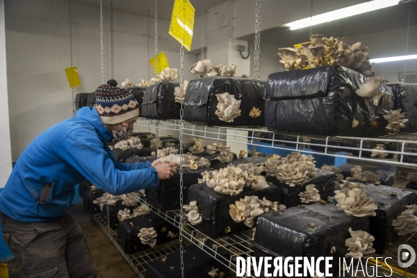 La Caverne, ferme d agriculture urbaine et souterraine