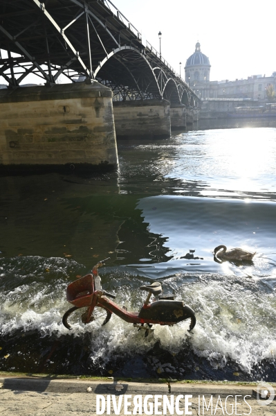 Pollution de La Seine à Paris :  les oiseaux, cygnes mouettes pigeons cotoient déchets et épaves de vélos. Pollution of the Seine in Paris: birds, swans, gulls, pigeons with wastes and wrecks of bicycles.