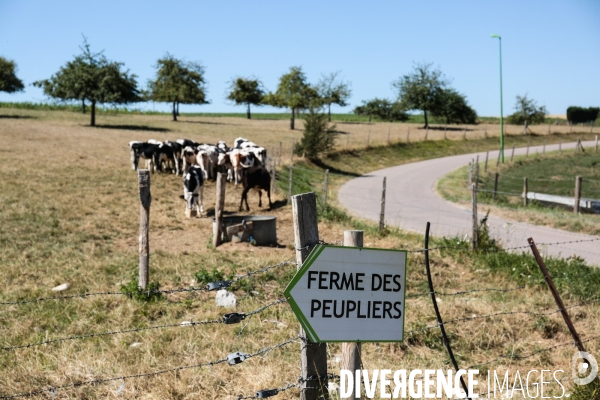 La ferme des peupliers