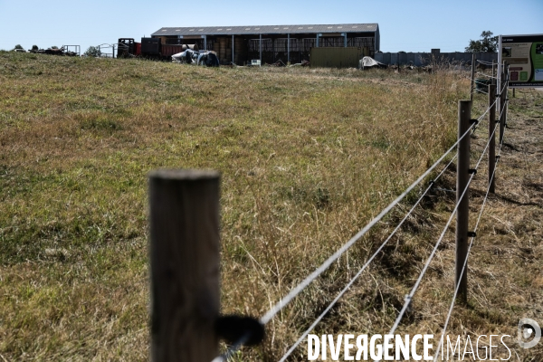 La ferme des peupliers