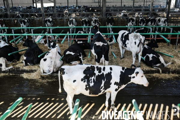 La ferme des peupliers