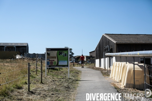 La ferme des peupliers