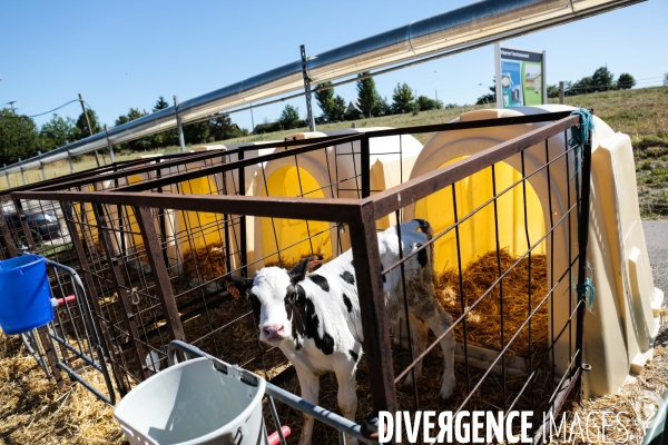 La ferme des peupliers