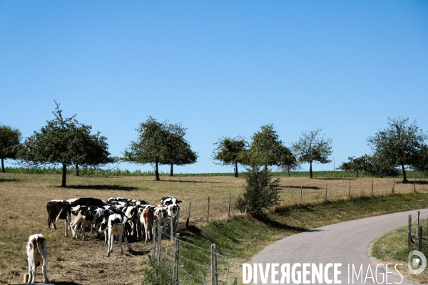 La ferme des peupliers