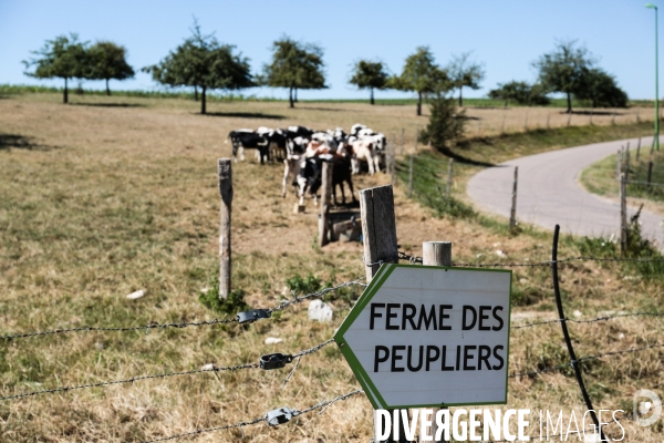 La ferme des peupliers