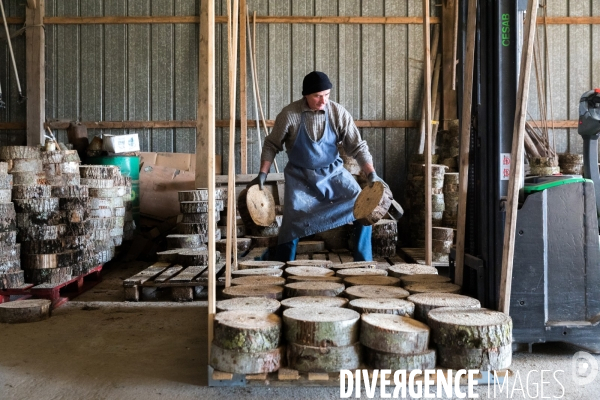 Sapinière bio en Vendée