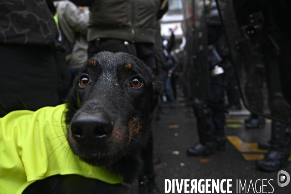 Manifestation contre le projet de loi SECURITE GLOBALE PPL, la marche des libertés du 12 decembre 2020. Demonstration against new security law project against freedom of information.