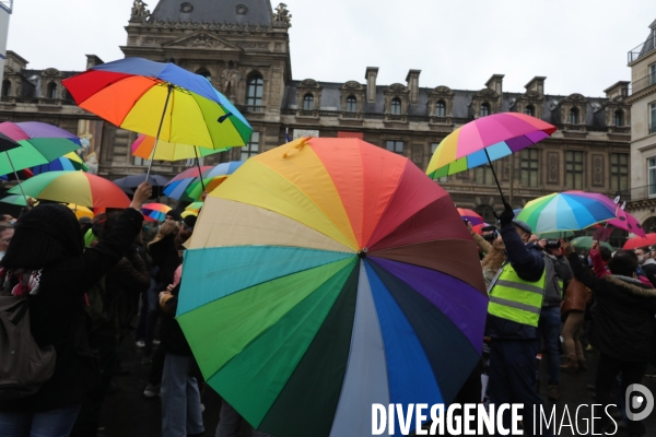 Manifestation des Gilets Jaunes place du Palais Royal