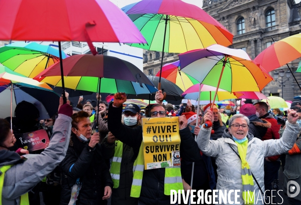 Manifestation des Gilets Jaunes