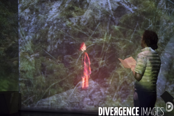 LA FORET DE GLACE de Emmanuelle Vo-Dinh