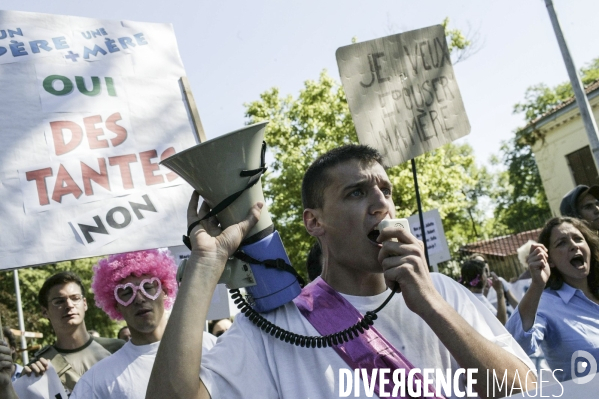 Manifestation contre le premier mariage gay en France