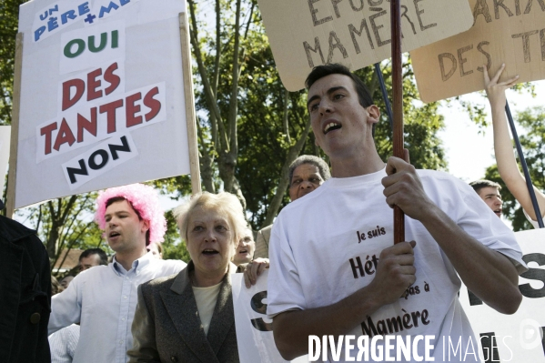 Manifestation contre le premier mariage gay en France