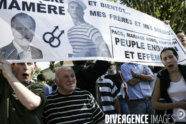 Manifestation contre le premier mariage gay en France
