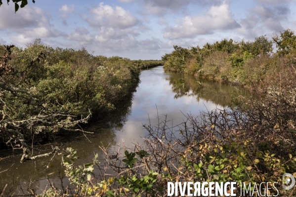 Bassin d Archachon