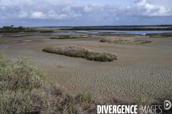 Bassin d Archachon