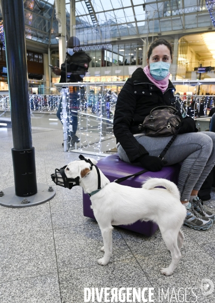 Covid-19. Voyageurs en attente d un train. travelers waiting at a railway station. The Covid-19 Coronavirus pandemic.