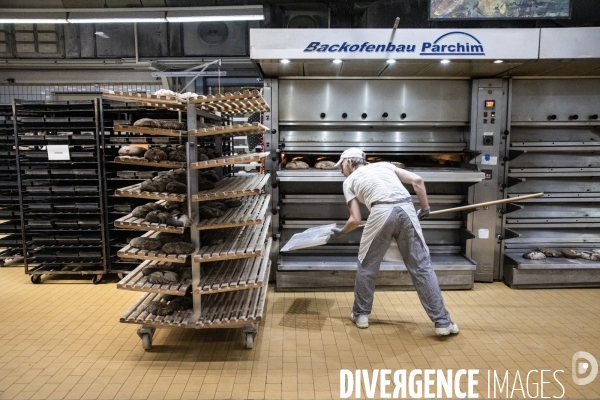 Dans la plus grande boulangerie bio de Berlin