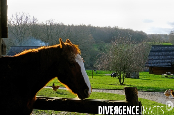 Un week end à la campagne