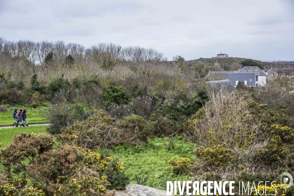 îles Chausey en hiver