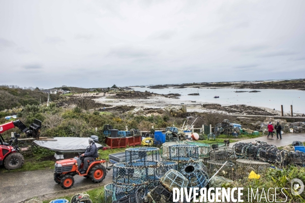 îles Chausey en hiver