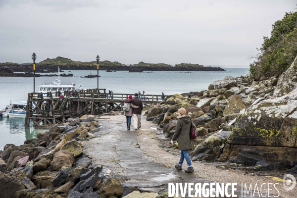 îles Chausey en hiver