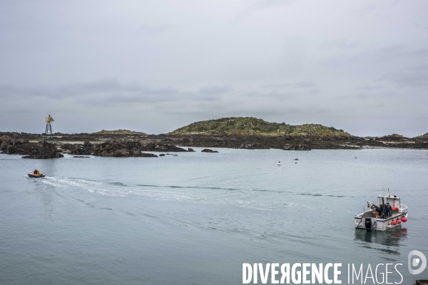 îles Chausey en hiver