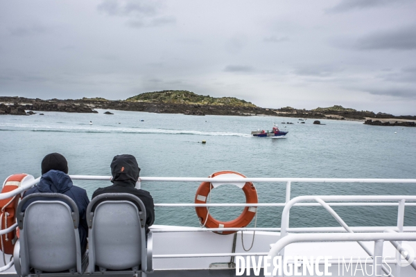 îles Chausey en hiver