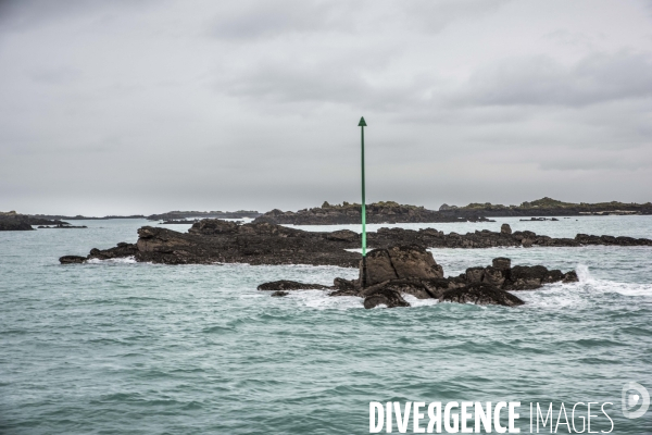 îles Chausey en hiver