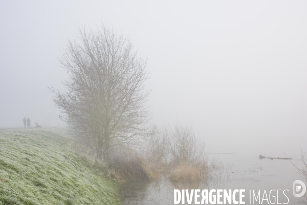 Paysages du bord Loire dans le brouillard