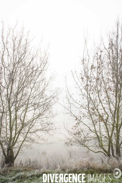 Paysages du bord Loire dans le brouillard