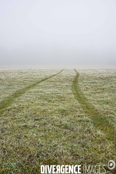 Paysages du bord Loire dans le brouillard