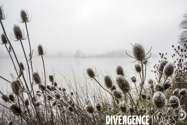 Paysages du bord Loire dans le brouillard